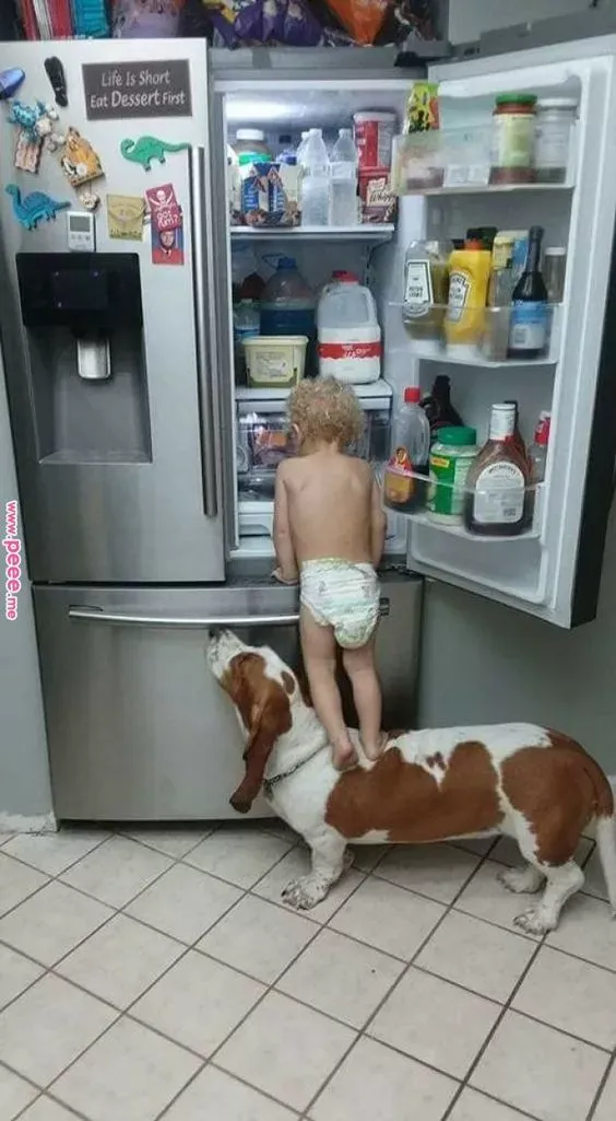 世界上最可爱的40张照片 最可爱图片