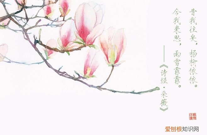 最美的九本诗词集 千家诗收录的是