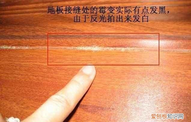 旧地板发霉怎么处理,地板发霉怎么清理干净