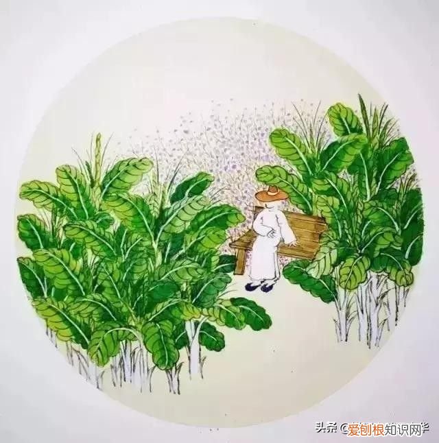 民间传说：孔子和三季人的故事 三季人的故事