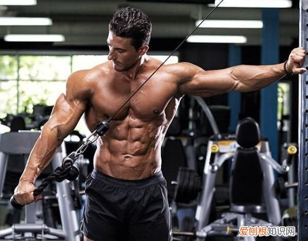 健身肌肉训练一组做多少个好 肌肉适能训练应该遵循哪些原则