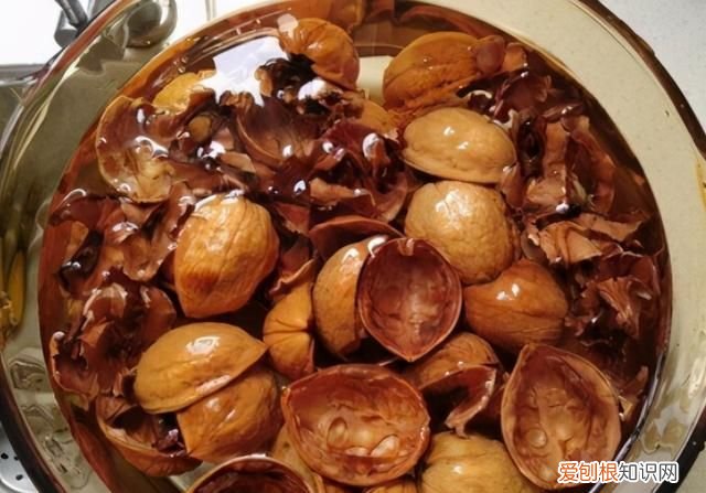 核桃壳煮鸡蛋的功效和做法