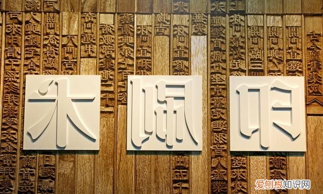 活字印刷术没有在中国普及的原因