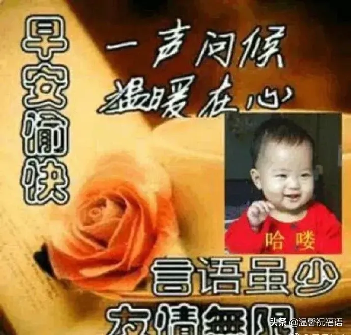 正月十三清晨问候早上好祝福图片 正月十三祝福图片