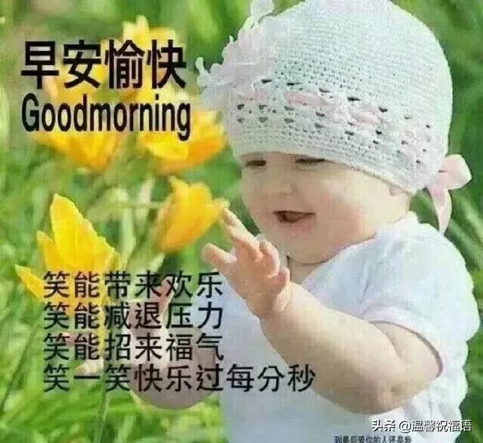 正月十三清晨问候早上好祝福图片 正月十三祝福图片