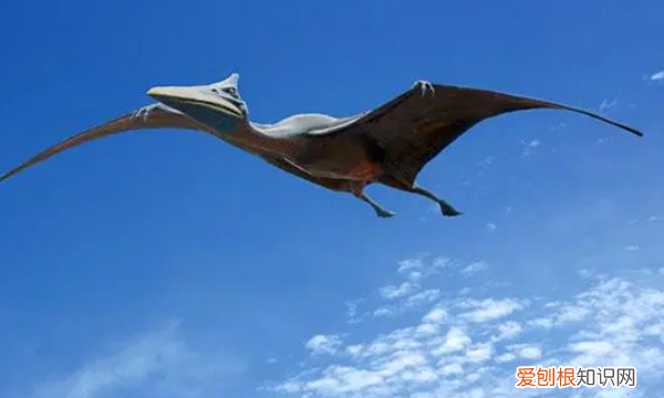 飞向蓝天的恐龙分为几部分