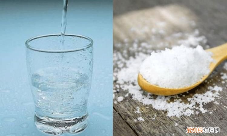 盐糖水有什么作用,盐水里加糖是什么味道