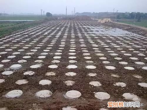 “ 地基 ”与 “ 基础 ” 根本就不是一回事! 地基与基础工程