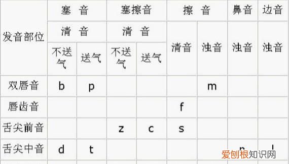 声母,韵母,整体认读音节,平舌音,翘舌音