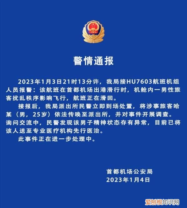 男子大喊冲击客机前舱门