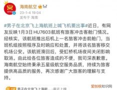 男子大喊冲击客机前舱门