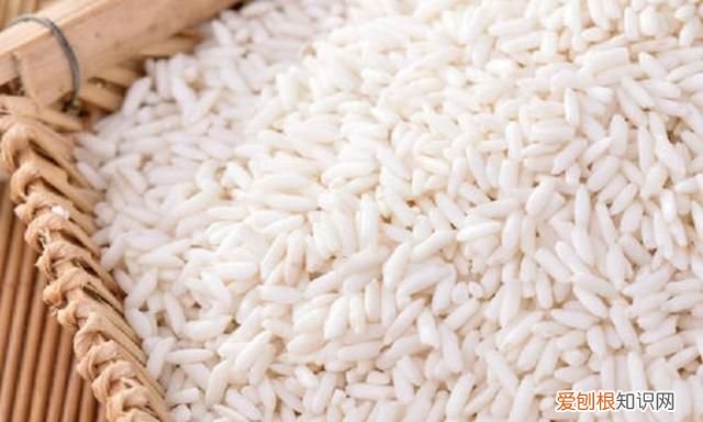 糯米和江米一样吗，糯米粉和江米一样