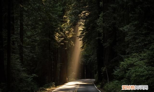 摄影中耶稣光指的是什么光 耶稣光的形成及拍摄方法