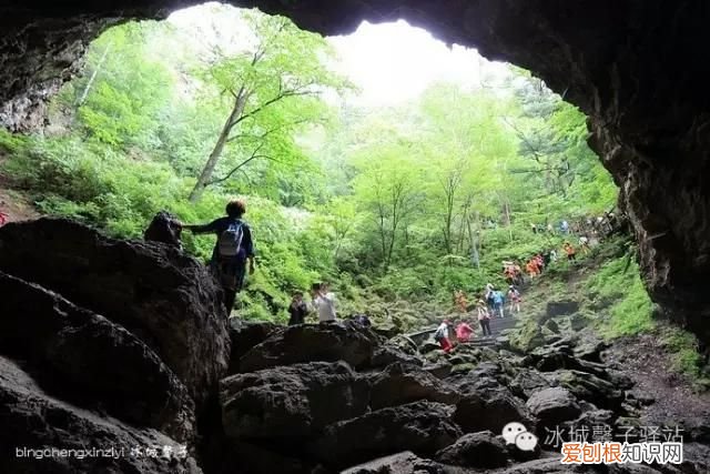 镜泊湖火山口地下森林 镜泊湖地下森林