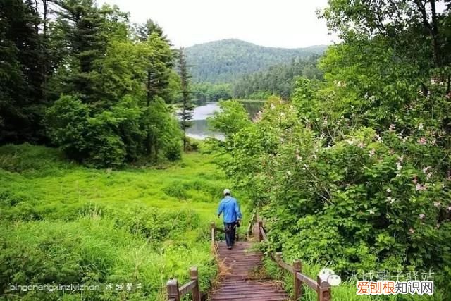 镜泊湖火山口地下森林 镜泊湖地下森林