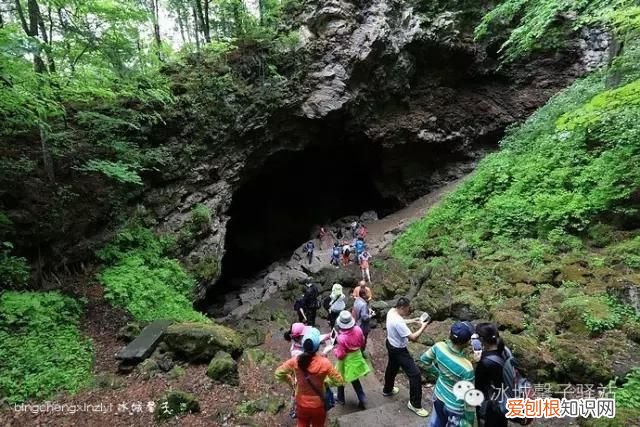 镜泊湖火山口地下森林 镜泊湖地下森林