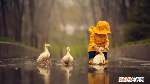 带有赤子心的男孩名字