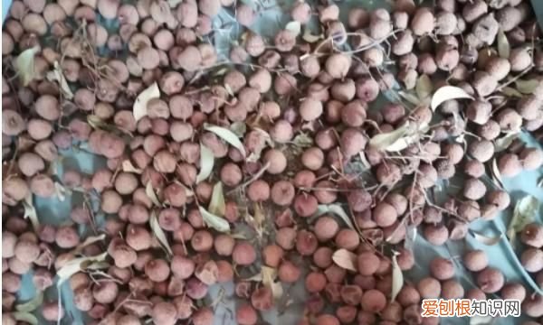 荔枝晒干可以吃吗，做荔枝干要煮多久