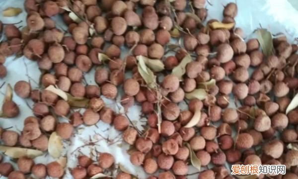 荔枝晒干可以吃吗，做荔枝干要煮多久