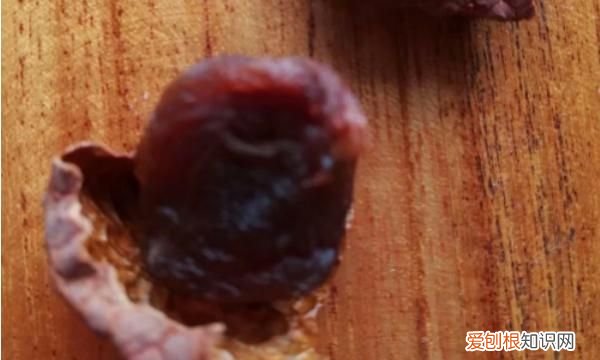 荔枝晒干可以吃吗,做荔枝干要煮多久