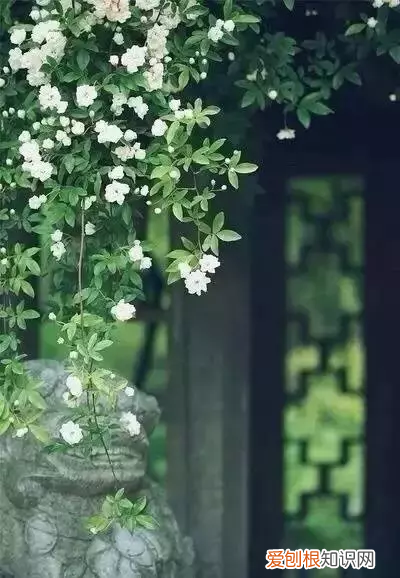 十首最美诗词，意境幽远，荡气回肠 荡气回肠的诗句