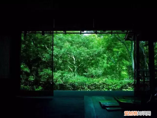 十首最美诗词，意境幽远，荡气回肠 荡气回肠的诗句