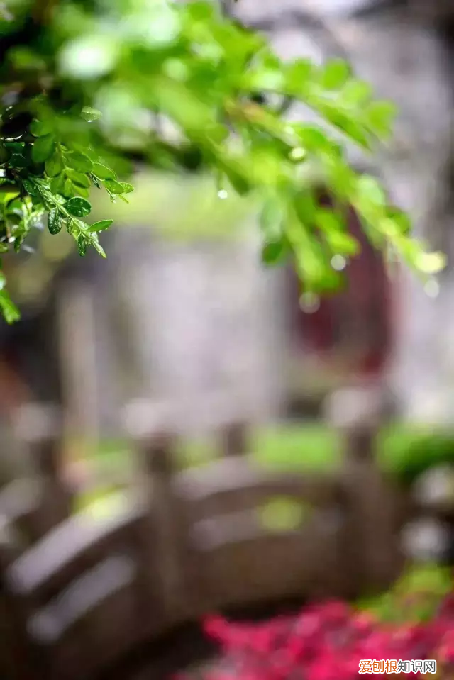 十首最美诗词，意境幽远，荡气回肠 荡气回肠的诗句