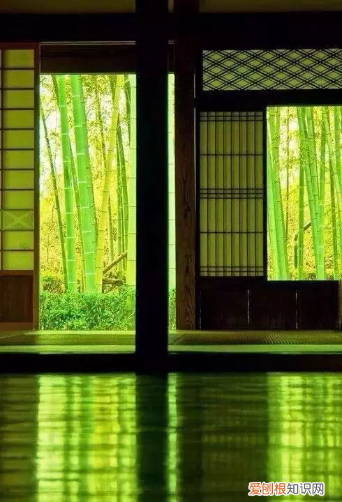 十首最美诗词，意境幽远，荡气回肠 荡气回肠的诗句