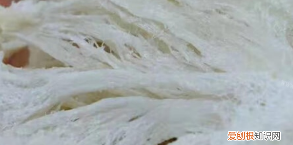 燕窝能放多久，小仙炖燕窝常温可以放多久