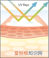 你真的认识你的皮肤吗？ 皮肤知识