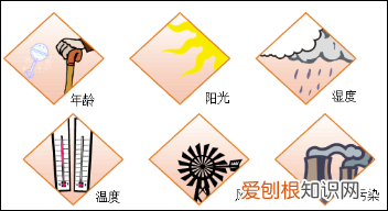 你真的认识你的皮肤吗？ 皮肤知识