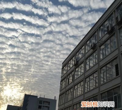 住高层楼哪层能长寿 住这楼层人竟多半长寿了