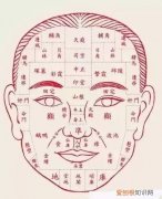 相貌，是生命的全息地图 面部全息图