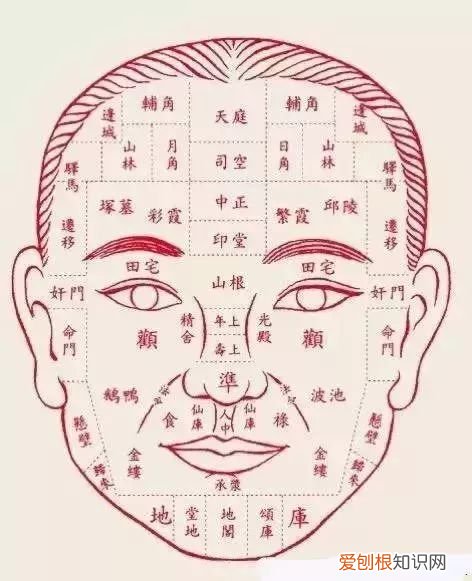 相貌，是生命的全息地图 面部全息图