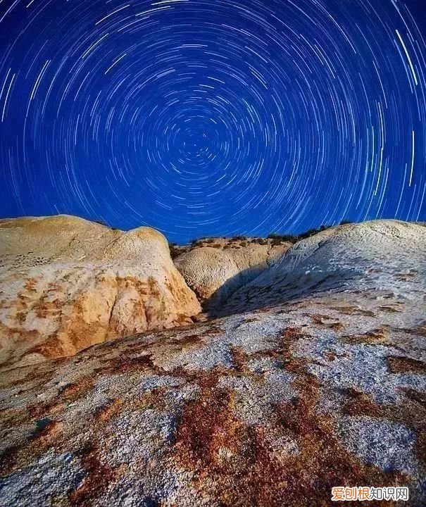 相貌，是生命的全息地图 面部全息图