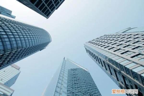 为什么现在下雨天也少有蜻蜓了？ 雨中蜻蜓