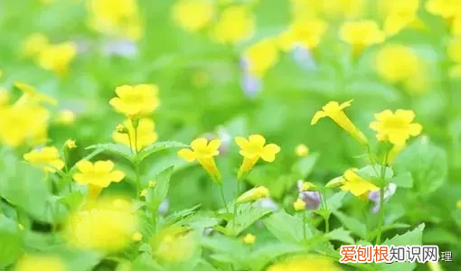 三月发朋友圈的唯美语录句子 三月你好唯美句子