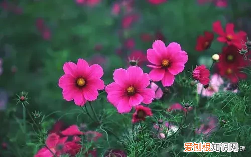 三月发朋友圈的唯美语录句子 三月你好唯美句子