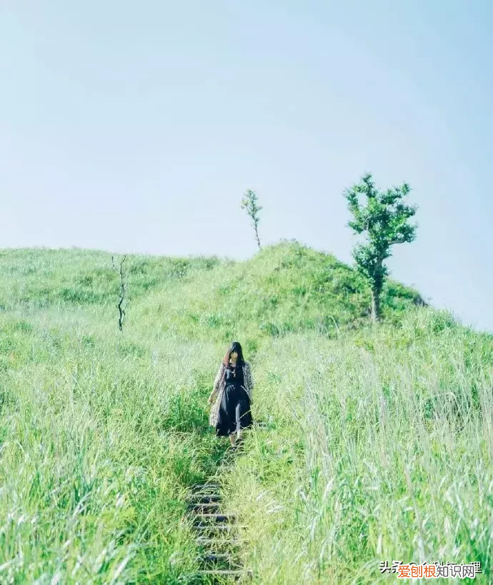 三月发朋友圈的唯美语录句子 三月你好唯美句子