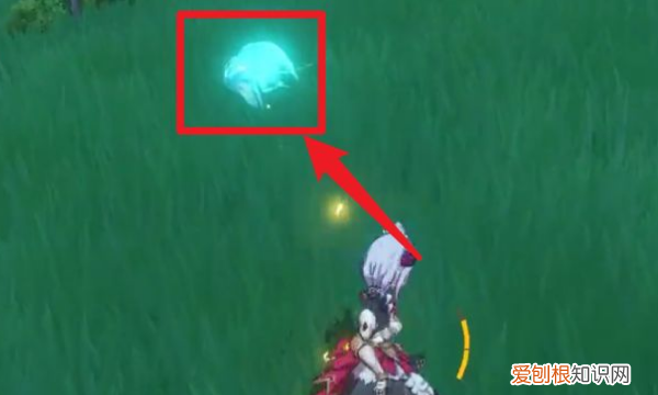 原神36小精灵怎么获得，原神人物旁边的小精灵怎么获得