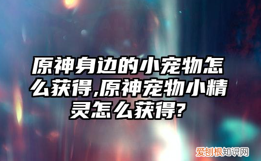 原神36小精灵怎么获得,原神人物旁边的小精灵怎么获得