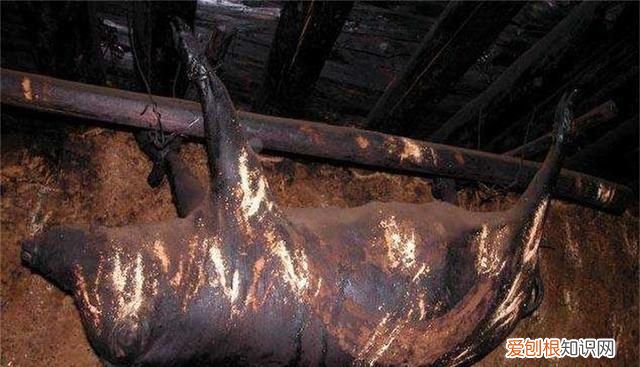 四川的臭猪肉怎么做出来的