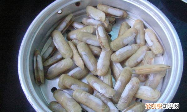 怎么看蛏子熟没熟