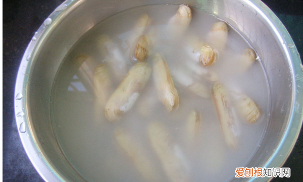 怎么看蛏子熟没熟