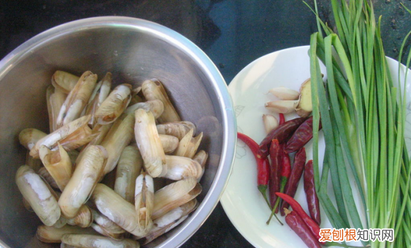 怎么看蛏子熟没熟