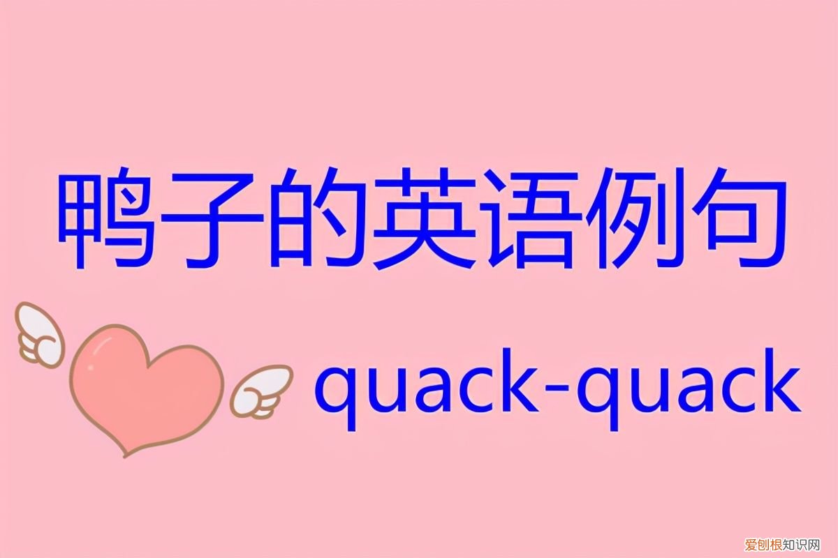 鸭子的英文是什么? 鸭子的英语是什么?
