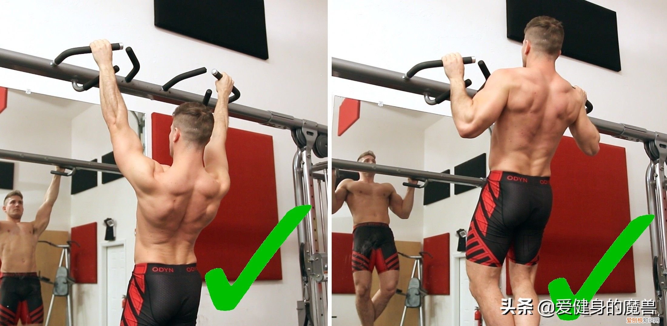 一直被低估的引体向上 引体向上的好处