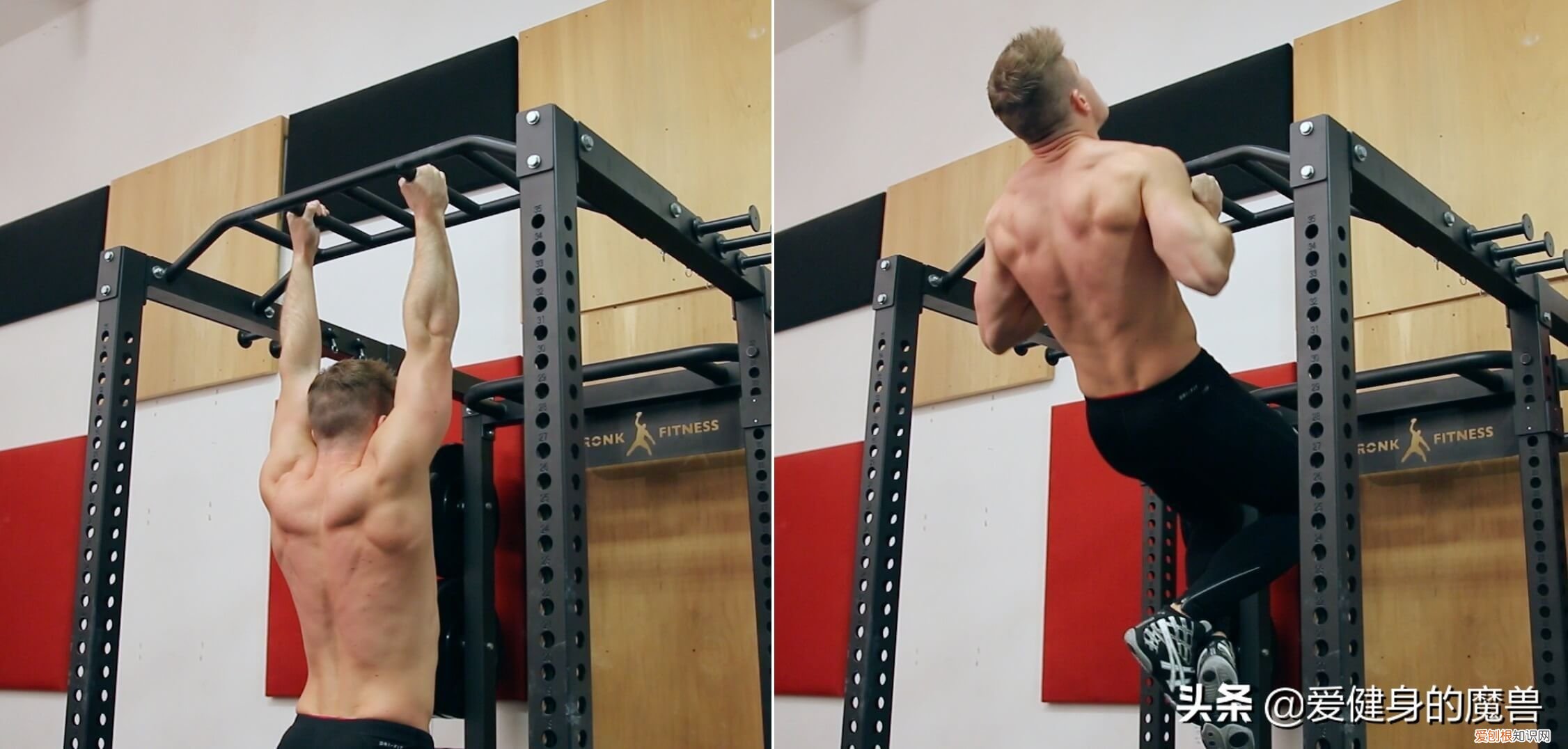 一直被低估的引体向上 引体向上的好处