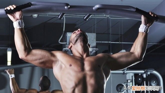 一直被低估的引体向上 引体向上的好处