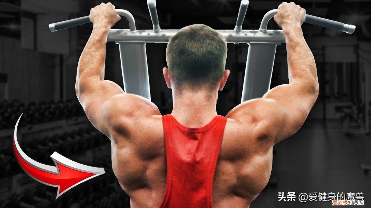 一直被低估的引体向上 引体向上的好处